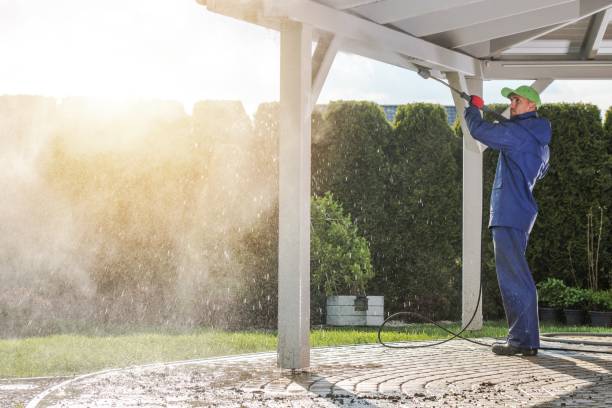 Animal Enclosure Cleaning in Rogers, TX